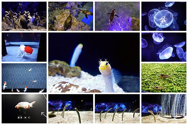 20200110-05.jpg 20200110-05.jpg