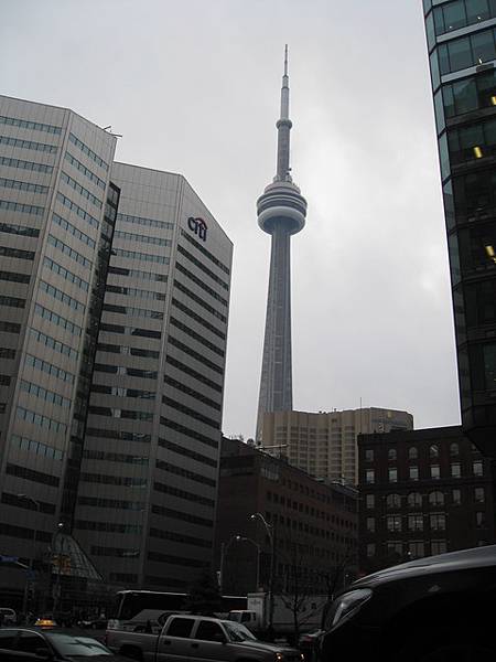 處處都可以看到CN Tower.jpg