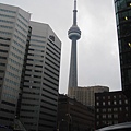 處處都可以看到CN Tower.jpg