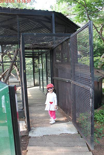 1010505_新竹動物園爬蟲