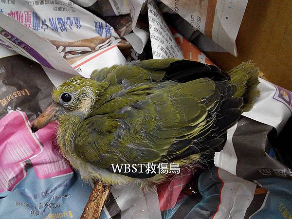 IMG_20150912_010413_mh1441995699890