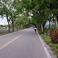 018-3-綠色隧道.jpg