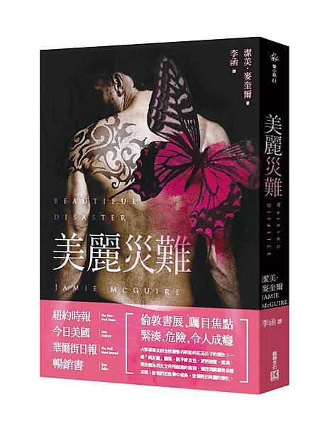 美麗災難 立體書封