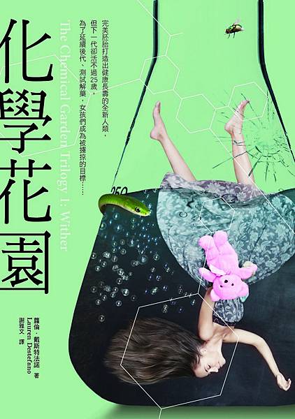 化學花園 化學花園