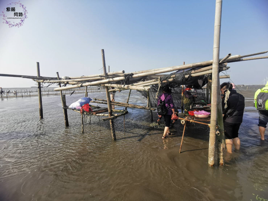 王功漁港 觀光採蚵車8.png