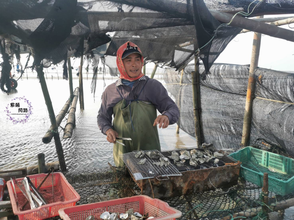 王功漁港 觀光採蚵車10.png