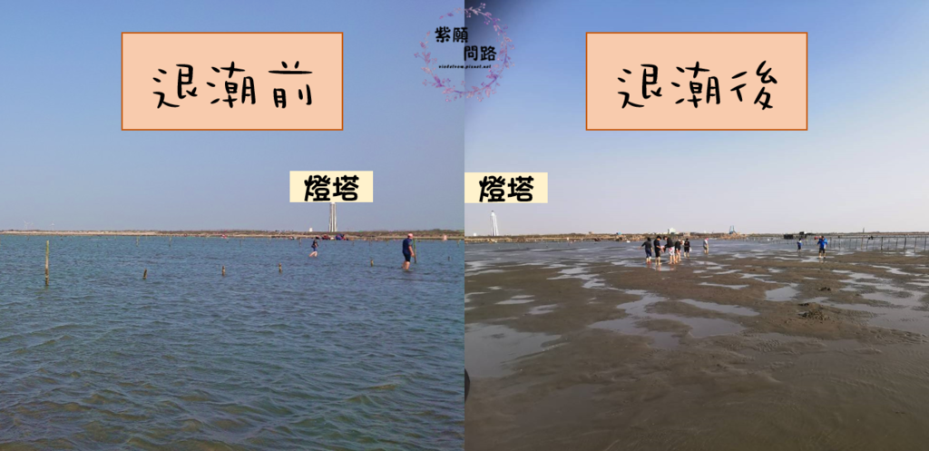 王功漁港 觀光採蚵車13.png