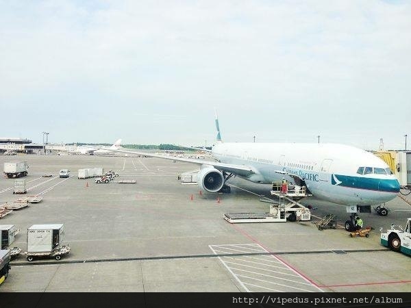 IMG_6019.JPG IMG_6019.JPG