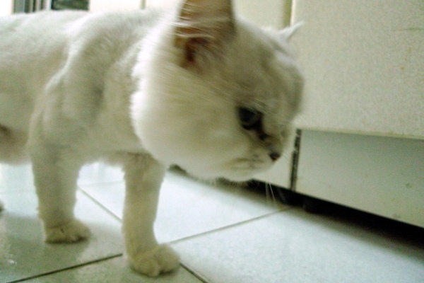 P1000899.JPG