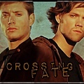 crossing_fate_cab4.jpg