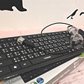 i-Rock KR-6431 Keypad