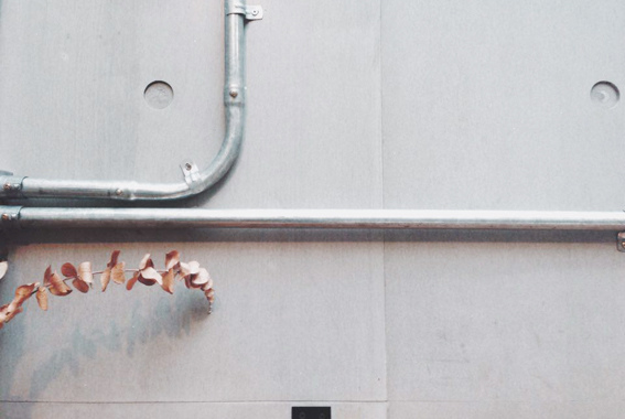 12351142_10153729033486211_877284269_n