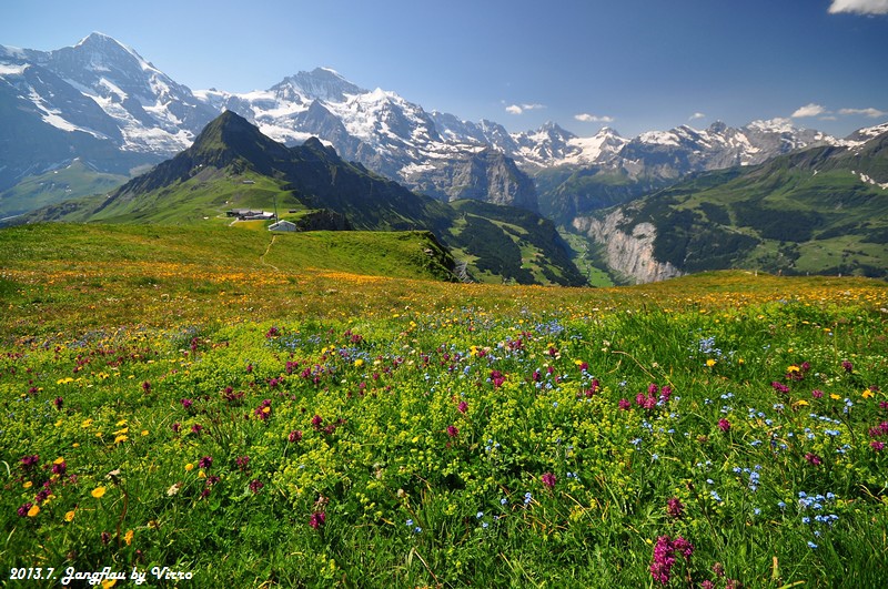 DSC_7576.JPG DSC_7576.JPG