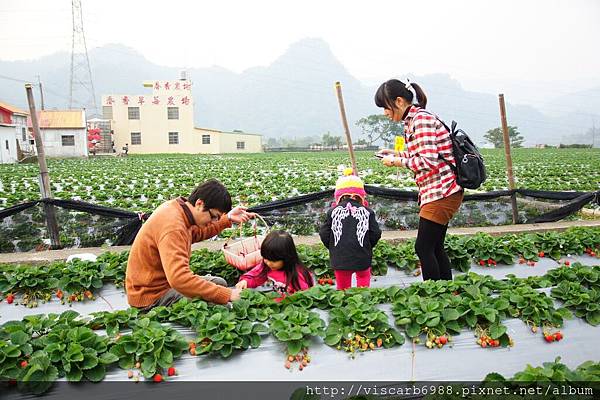 2014元月泰安日出溫泉