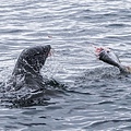 斯瓦科普蒙德、骷髏海岸_180807_0027.jpg