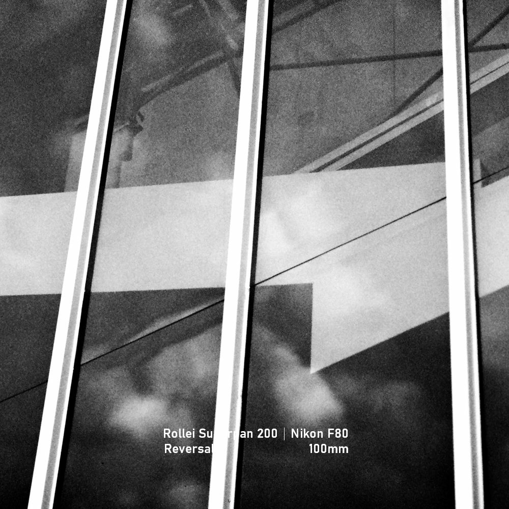 Rollei Superpan 200|Nikon F80|greensheep|SQ|31.jpg Rollei Superpan 200|Nikon F80|greensheep|SQ|31.jpg