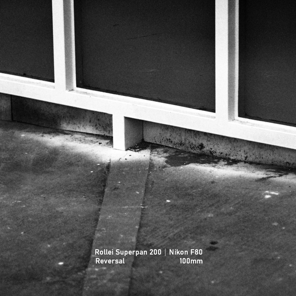 Rollei Superpan 200|Nikon F80|greensheep|SQ|33.jpg Rollei Superpan 200|Nikon F80|greensheep|SQ|33.jpg