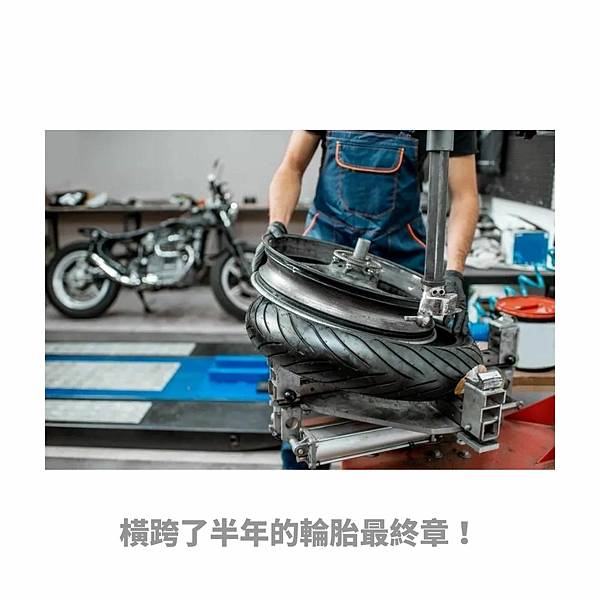 Downloads｜greensheep｜001