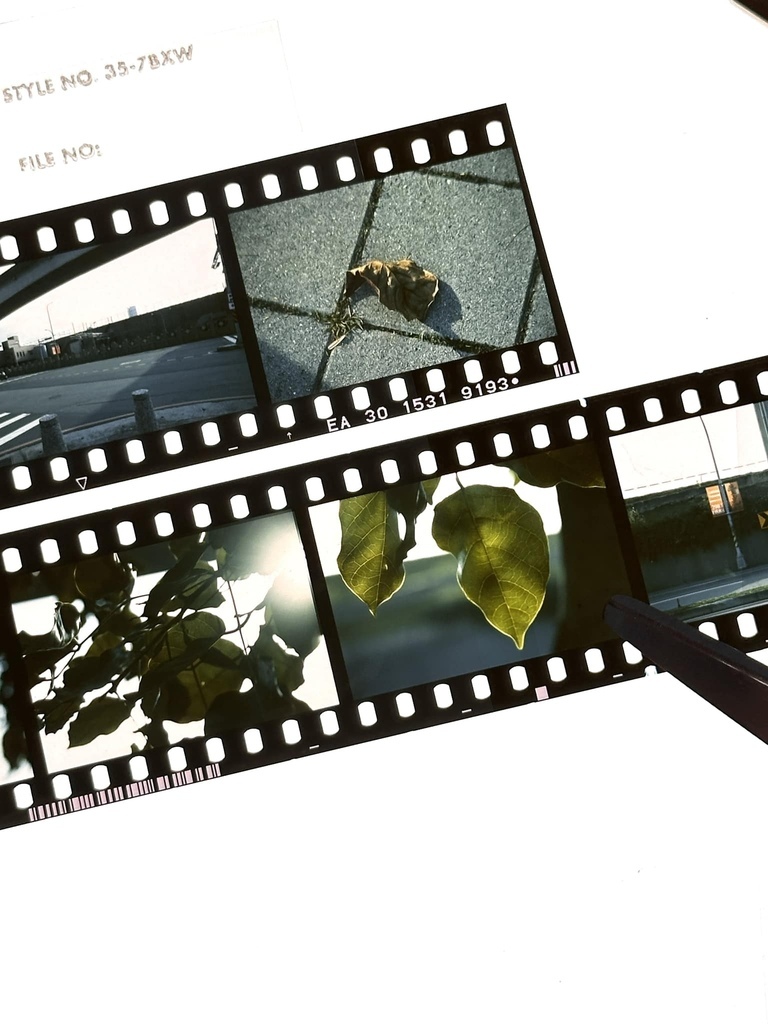 暗房│彩色反轉沖洗流程：開始讀原廠手冊