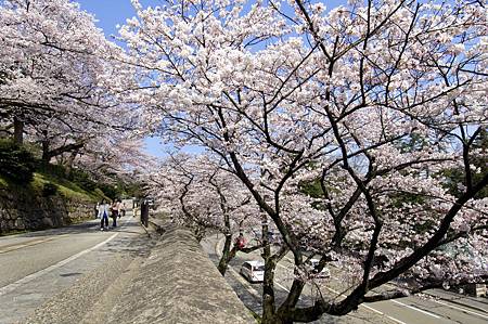 來去金澤賞花去 いいね金沢 我愛金澤 痞客邦 來去金澤賞花去 いいね金沢 我愛金澤 痞客邦