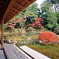 兼六園3.jpg