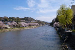 淺野川.jpg