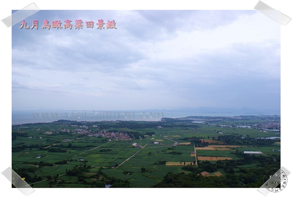 九月鳥瞰高粱田