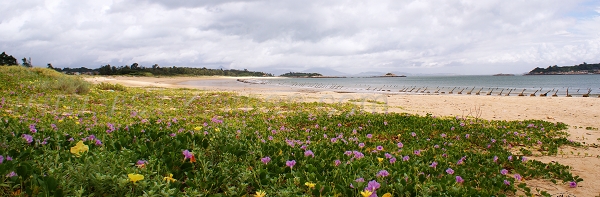 nEO_IMG_DSC02716 (2).jpg