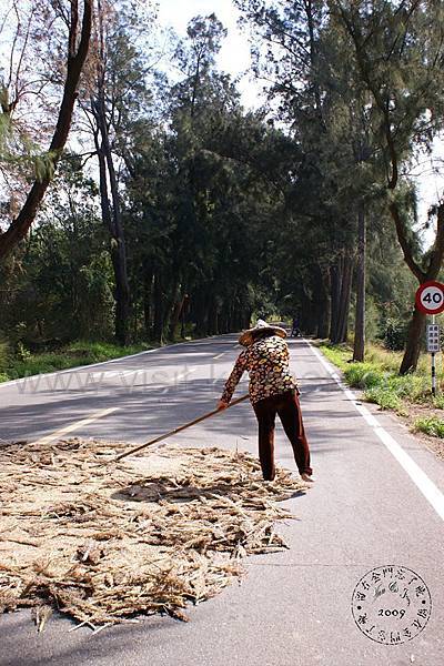 12063873_1227786297248091_1873469740289096261_n