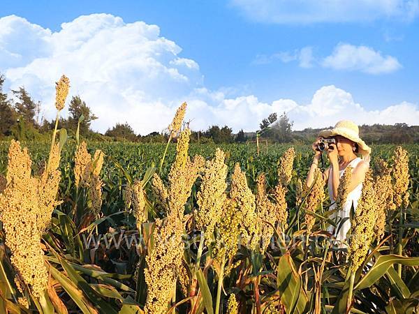 /tmp/phpWElaGe /tmp/phpWElaGe