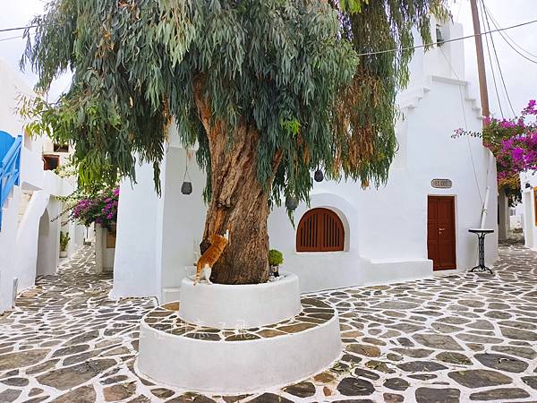 希臘帕羅斯島(Greece Paros) | 愛琴海上低調的