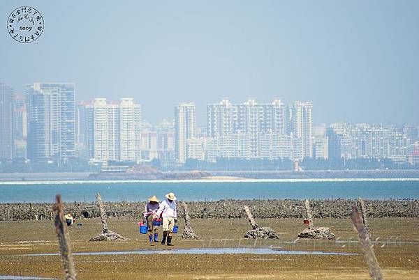 上林海岸.jpg