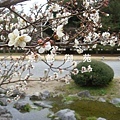 京都御苑5