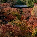 東福寺-02.jpg