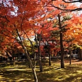 東福寺-06.jpg