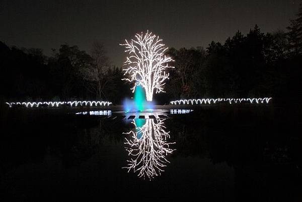 京都植物園illuminations00.jpg