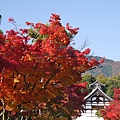 tenryuji6.jpg