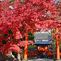 tenryuji8.jpg