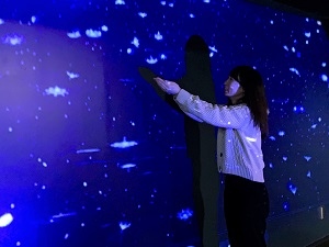 京都水族館 冬季光影夢幻世界 冬戀水族館 Visit Kyoto Tw 痞客邦 京都水族館 冬季光影夢幻世界 冬戀水族館 Visit Kyoto Tw 痞客邦