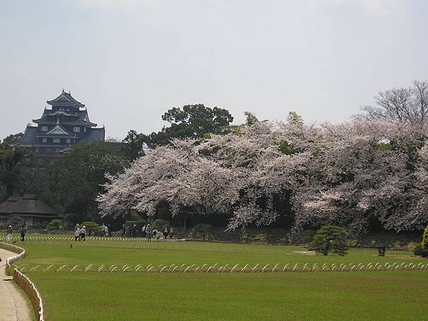 15岡山後楽園　春.jpg