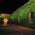 ivy square-1.jpg