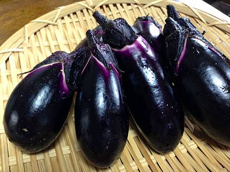 茄子 茄子
