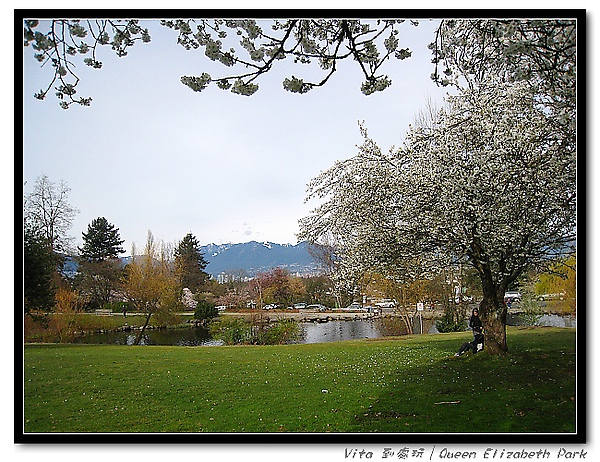 Queen Elizabeth Park