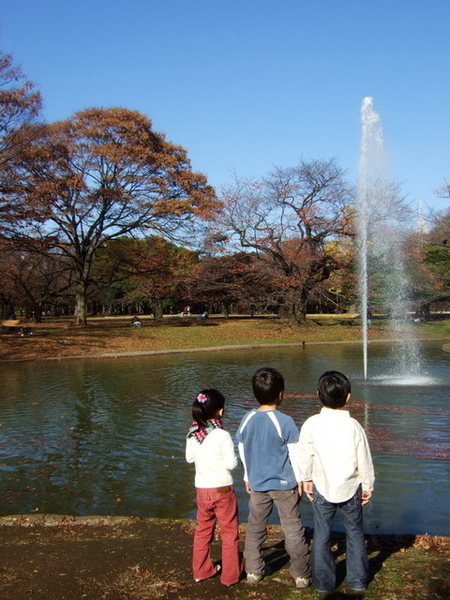 代代木公園