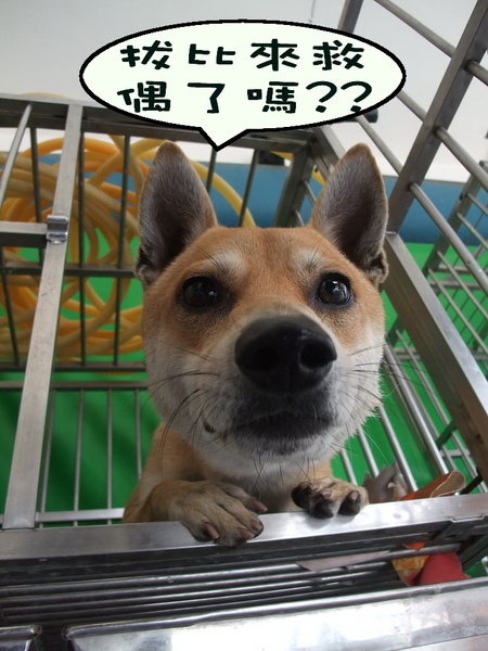黑牢1.jpg 黑牢1.jpg