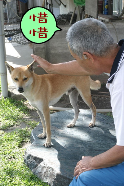 惜惜.jpg 惜惜.jpg