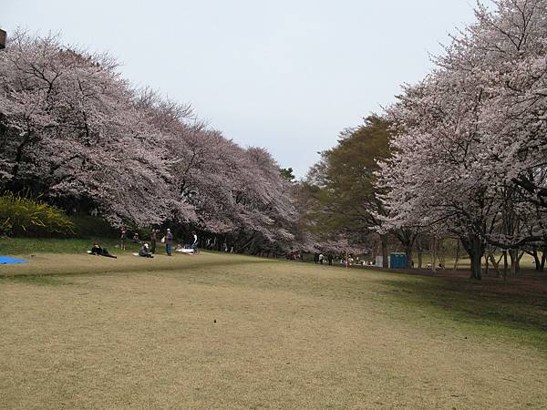 砧公園