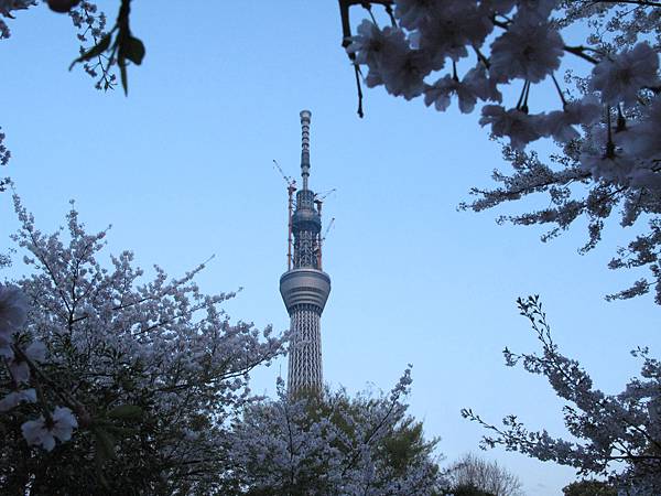 隅田川公園