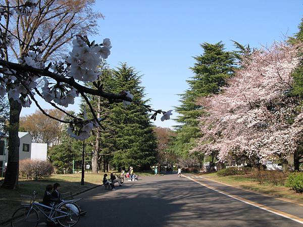 駒澤奧運公園