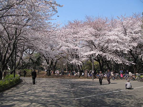 飛鳥公園西側